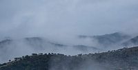 Landschap Spanje Andujar