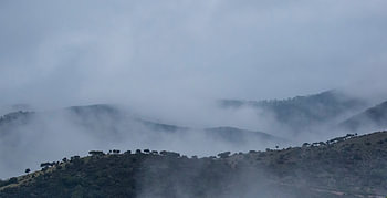 Landschap Spanje Andujar