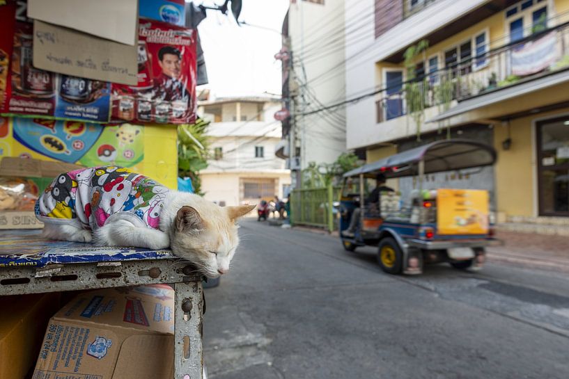A velvet dream in the midst of the hustle and bustle by Walter G. Allgöwer