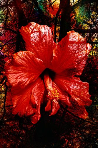 In a colorful world.