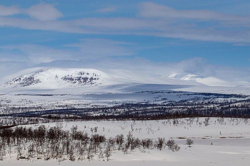 Das Ende des Winters ist in Sicht