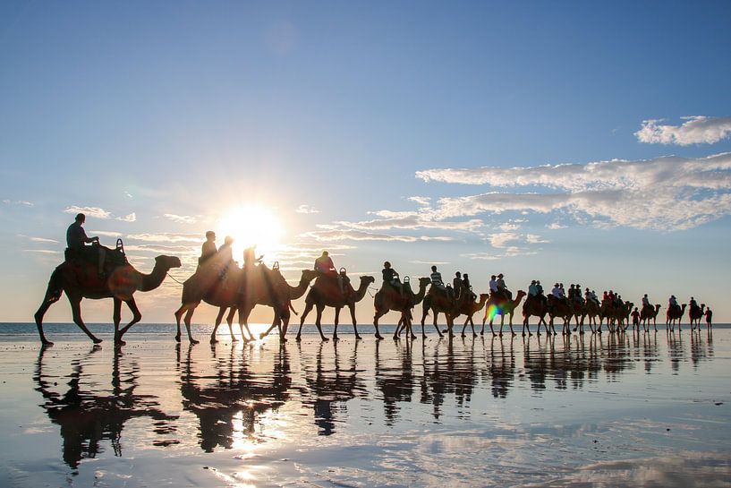 Chameaux sur la plage de Broome, Australie par The Book of Wandering