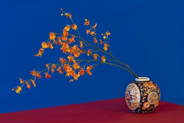 Orchidée tigrée dans une jarre à gingembre Imari japonaise sur Floris Kok