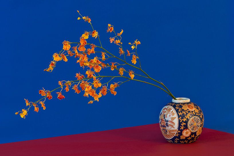 Tiger Orchid in Japanese Imari Ginger Jar by Floris Kok