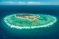 Lady Elliot, Australia.