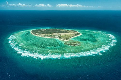 Lady Elliot, Australie.