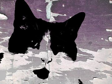 Kattenkunst - Dusty 1 van MoArt (Maurice Heuts)