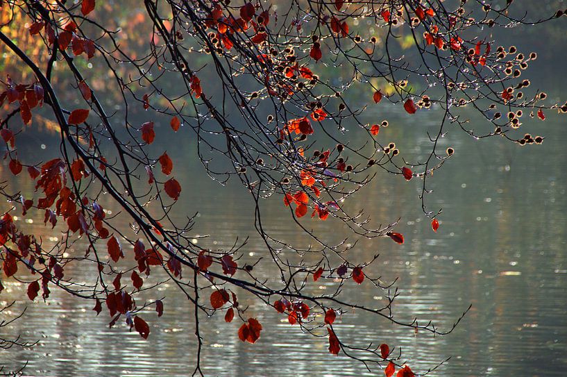 Le monde des paillettes par Edgar Schermaul