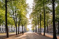 Lange Voorhout, La Haye par John Verbruggen Aperçu