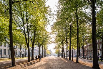 Lange Voorhout, Den Haag