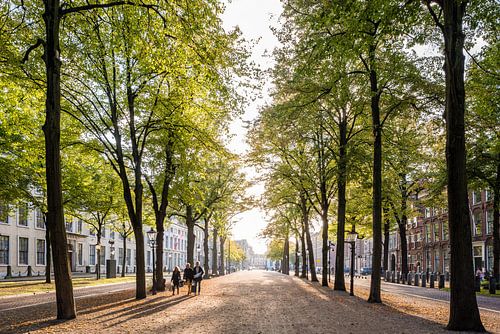 Lange Voorhout, The Hague 