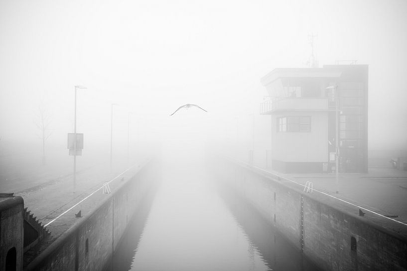 Vliegen in de mist - mist, zwart-wit fotografie van Fabrizio Micciche