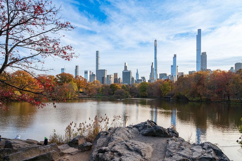 New Yorker Skyline vom Central Park aus von Tim Vlielander