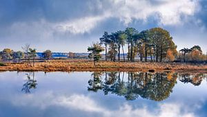 Des zones humides à l'automne avec des nuages ​​dramatiques reflète dans un lac sur Tony Vingerhoets