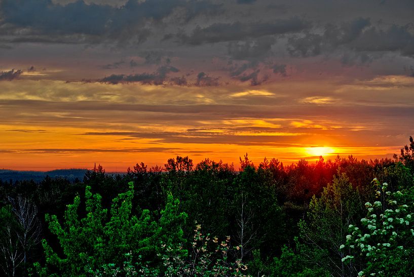 Die Sonne küsst den Wald von Roith Fotografie