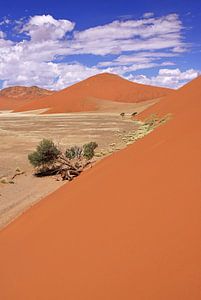 Dunes of Namibia van W. Woyke