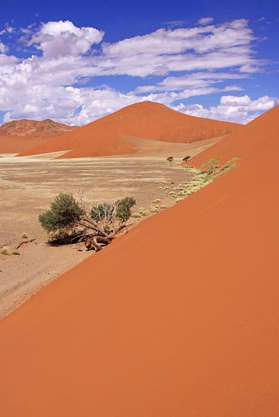 Dunes of Namibia van W. Woyke