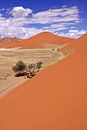 Dunes of Namibia van W. Woyke thumbnail