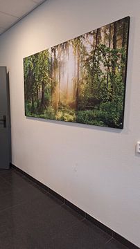 Photo de nos clients: Lever de soleil dans la forêt sur Günter Albers