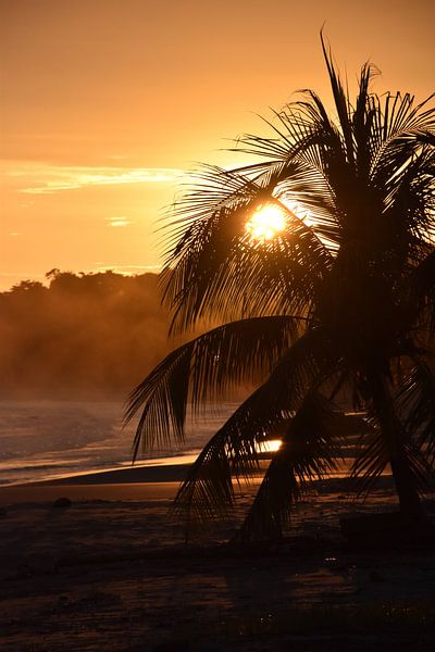 Zonsondergang op het strand met palmboom van Annemiek Lenting