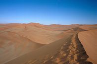 Sossusvlei by Richard Wareham thumbnail