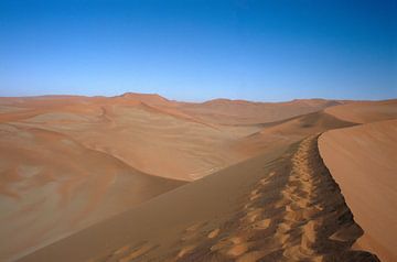 Sossusvlei van Richard Wareham