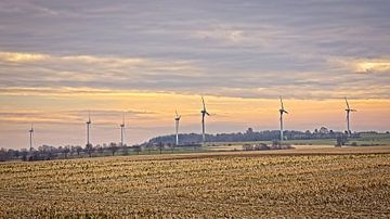 Windmühlen bei Bocholtz von Rob Boon