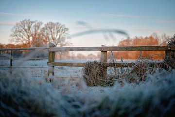 Winterpoëzie in het natuurreservaat Bünde | Deel Vi