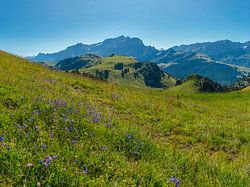 Col de Bretaye, Villars-sur-Ollon, Kanton Waadt, Schweiz,