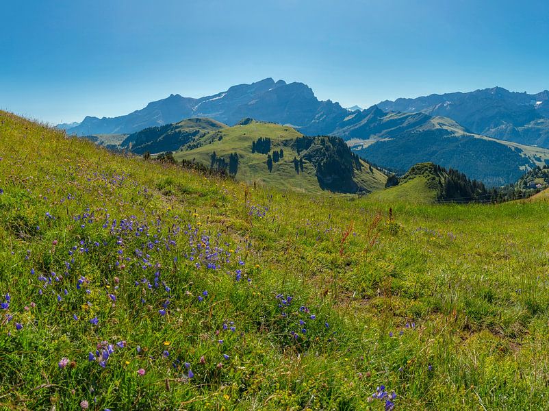Col de Bretaye, Villars-sur-Ollon, Canton Vaud, Switzerland, by Rene van der Meer