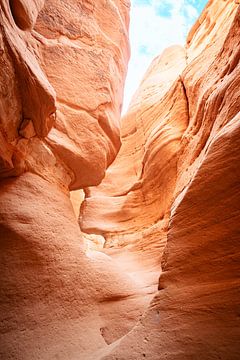 Canyon dans le désert du Sinaï en Egypte sur Marjan Schmit Visser