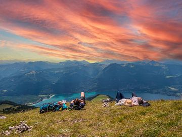 Time-out op een berg in het Salzkammergut, Oostenrijk van Animaflora PicsStock
