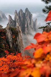 Autumnal mountain landscape with fog by Poster Art Shop