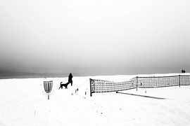 Hund im Schnee von Heiko Westphalen