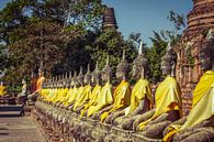 Tempels in Ayutthaya van Levent Weber thumbnail