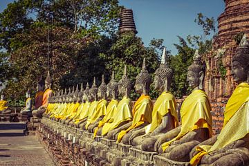 Tempels in Ayutthaya van Levent Weber