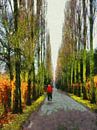 Cemetery Road Copenhagen by Dorothy Berry-Lound thumbnail
