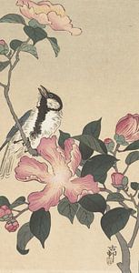 Kohlmeise am Zweig mit rosa Blüten von Ohara Koson