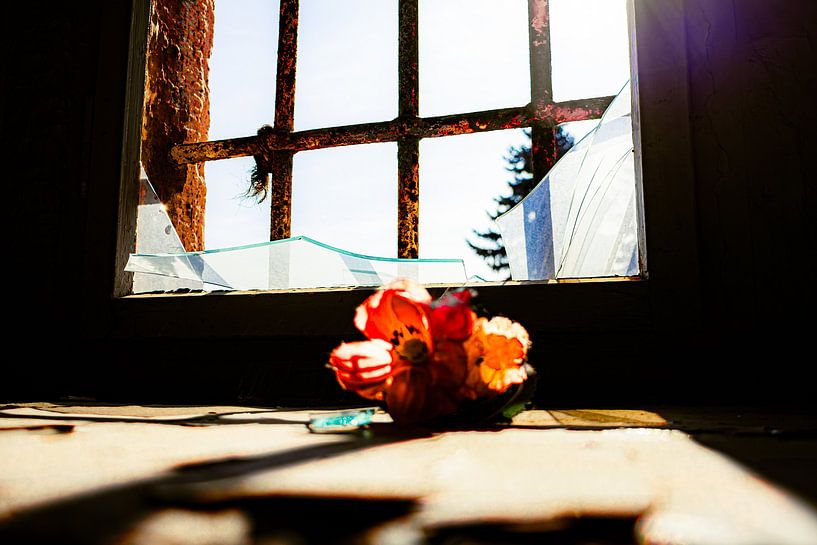 Einzelne Blume auf der Fensterbank – Symbol der Stille im Lost Place von InfiniteArtLabs