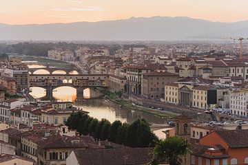 View of the old town of Florence by Shanti Hesse