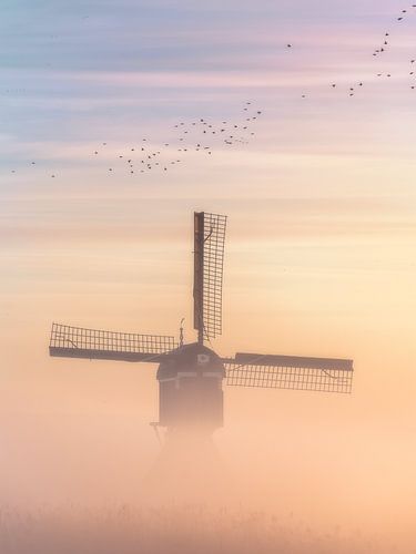 Broekmolen dans le brouillard