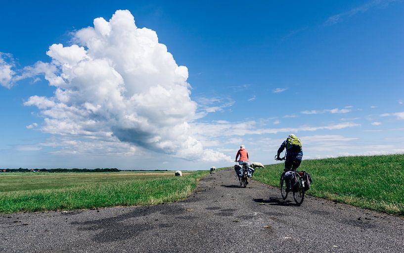 Wolkenlucht met fietsers die grazende schapen passeren op de dijk bij Striep van Alex Hamstra