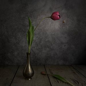 Stilleven met Rode Tulp en Bij