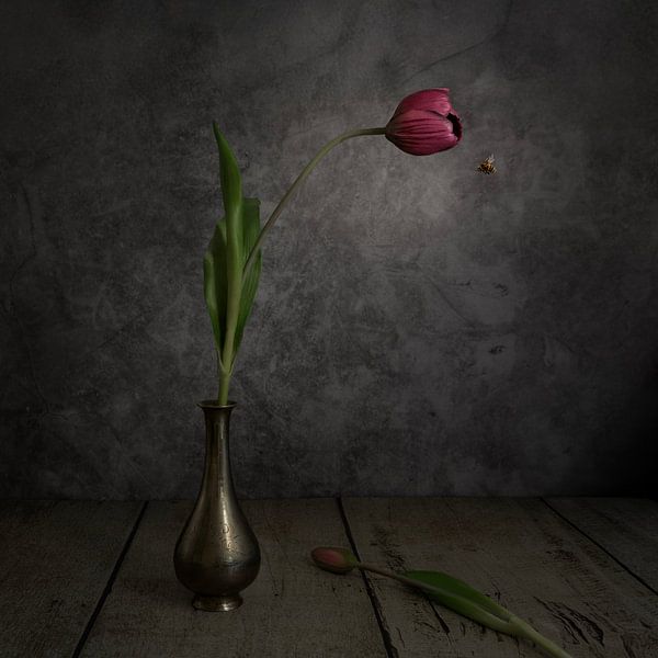 Stilleben mit roter Tulpe und Biene von Cindy Dominika