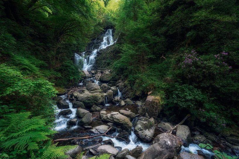 Chute d'eau de Torc (Co. Kerry, Irlande) par Niko Kersting