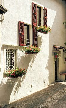 Fassade Limone sul Garda von Sidney van den Boogaard