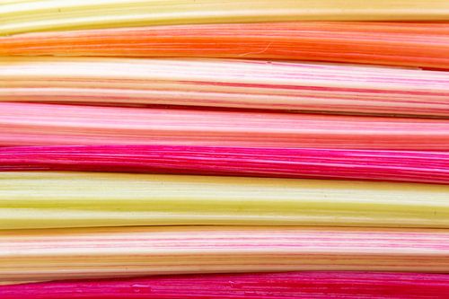 KLeurrijk patroon van snijbiet