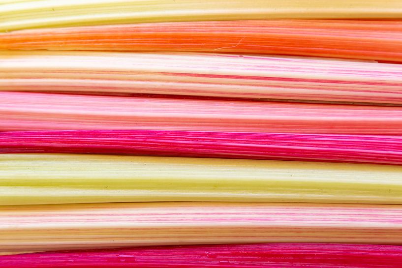 Fond avec gros plan de voix colorées de bettes à carde arc-en-ciel par Hilda Weges