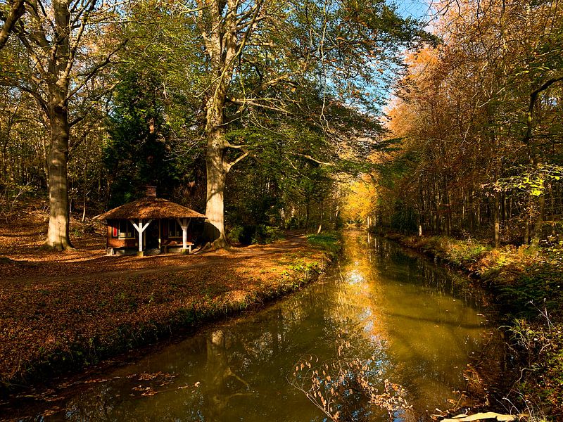 Couleurs d'automne à Elstwout. par Apple Brenner