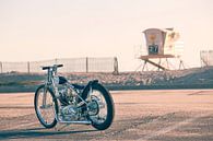 Mark Drews Solitary Confinement Triumph chopper by Maurice van den Tillaard thumbnail